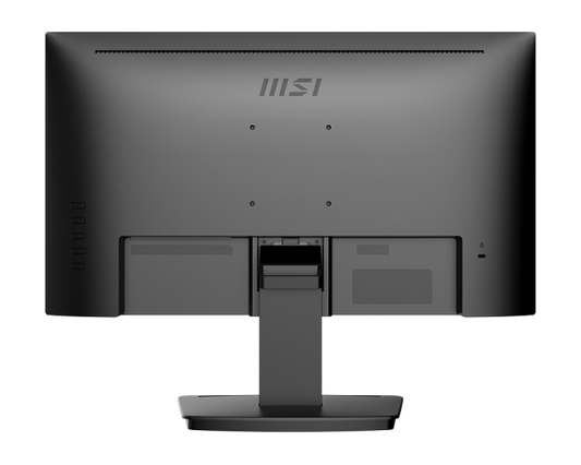 Écran 22 Pouces MSI Full HD