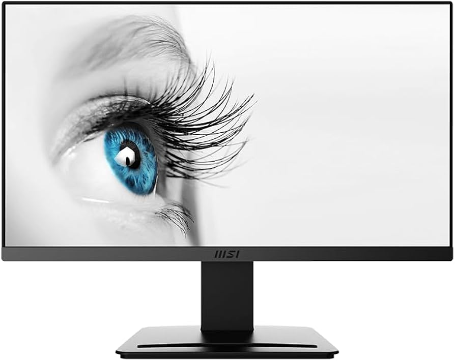 22-inch MSI Full HD display